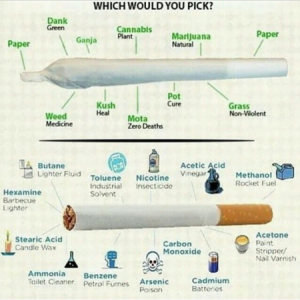 papierosy vs jointy