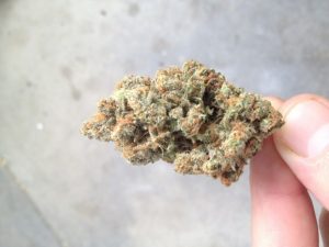 sour cheese