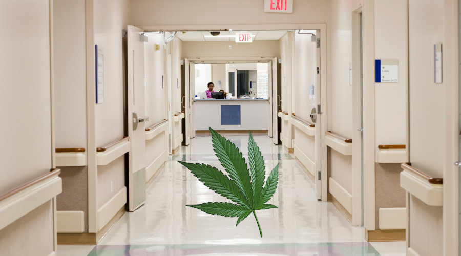 Szpital w Polsce, w którym leczą medyczną marihuaną! Sprawdź gdzie!