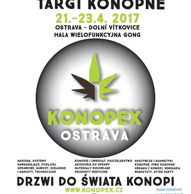 Konopex – kolejna edycja targów konopi w Ostravie