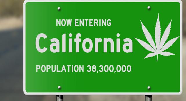 W Kalifornii mają za dużo weedu. 8 razy za dużo