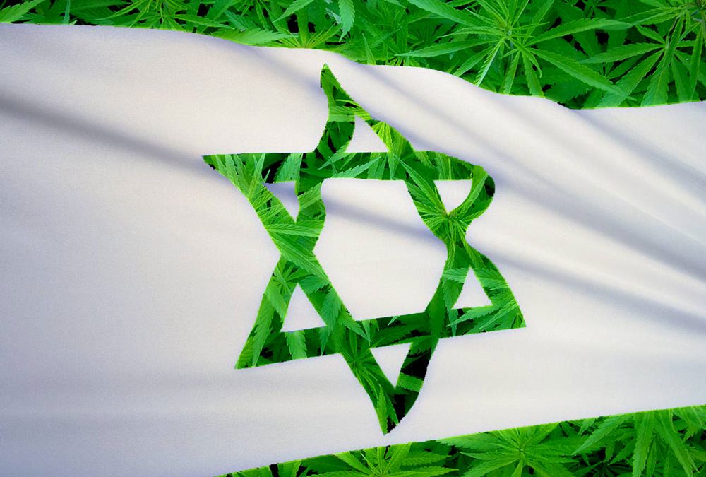 Izrael chce eksportować medyczną marihuanę i stać się liderem rynku
