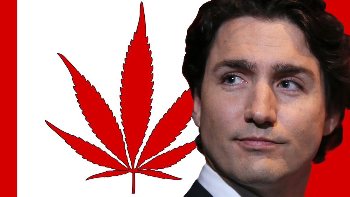 Kanada planuje opodatkowanie marihuany. Jest się z czego cieszyć?