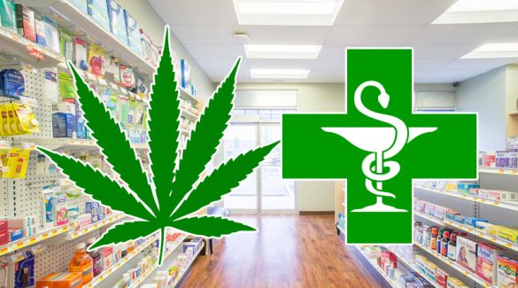 Wczoraj zatwierdzono wniosek o import medycznej marihuany z Kanady