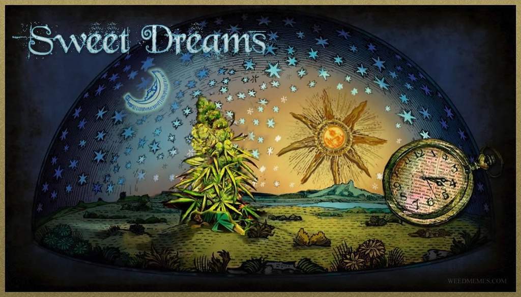 Dlaczego konsumenci marihuany nie mają snów?