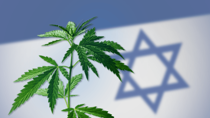 Izrael liderem w produkcji marihuany medycznej?