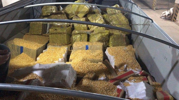 28 ton marihuany ukryte w transporcie kukurydzy [video]