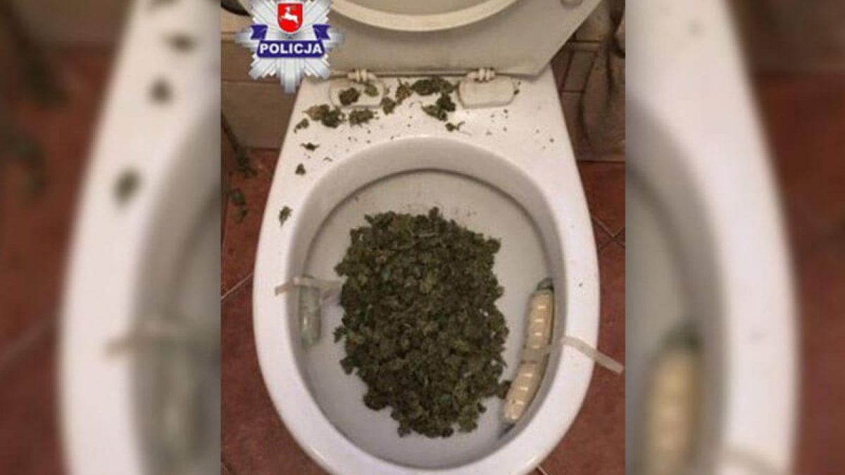 Chełm: 200 gramów marihuany w toalecie