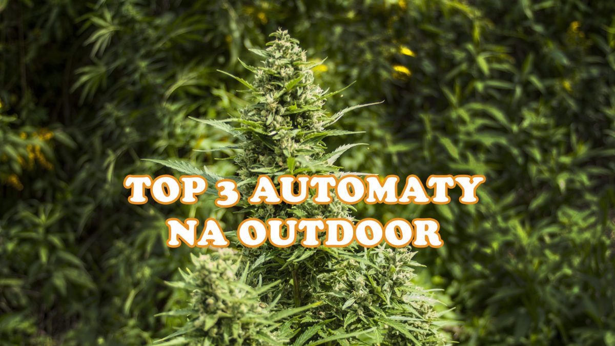 Top 3 automaty na outdoor