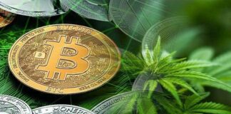plantacja bitcoin koparki