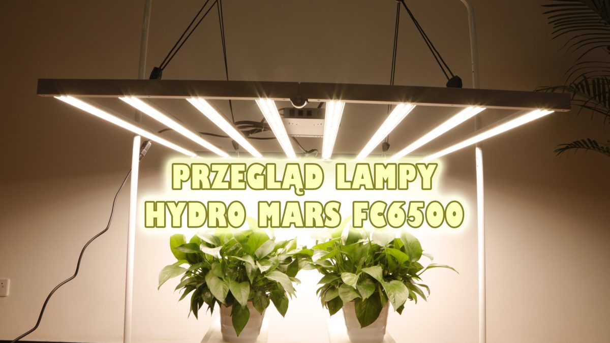 420Grow: Przegląd lampy Mars Hydro FC6500