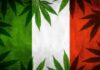 włosi chcą legalnej marihuany