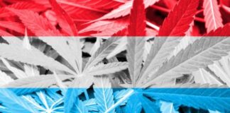 Luksemburg legalizuje marihuanę