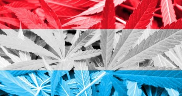 Luksemburg legalizuje marihuanę