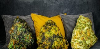 Poduszki WeedPillows cushions cannabis
