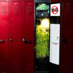 marihuana szafka szkolna