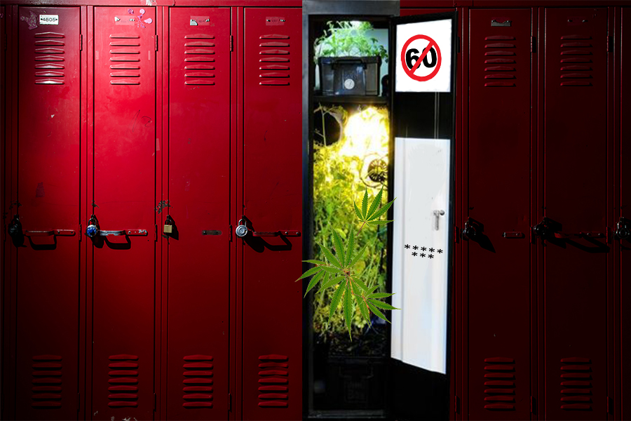 W szkolnej szafce trzymał marihuanę