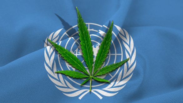 legalizacja zwiększyła konsumpcję marihuany