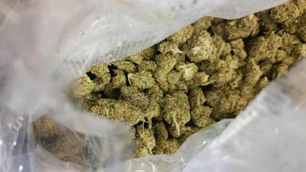 Przemyt Marihuana USA Cali