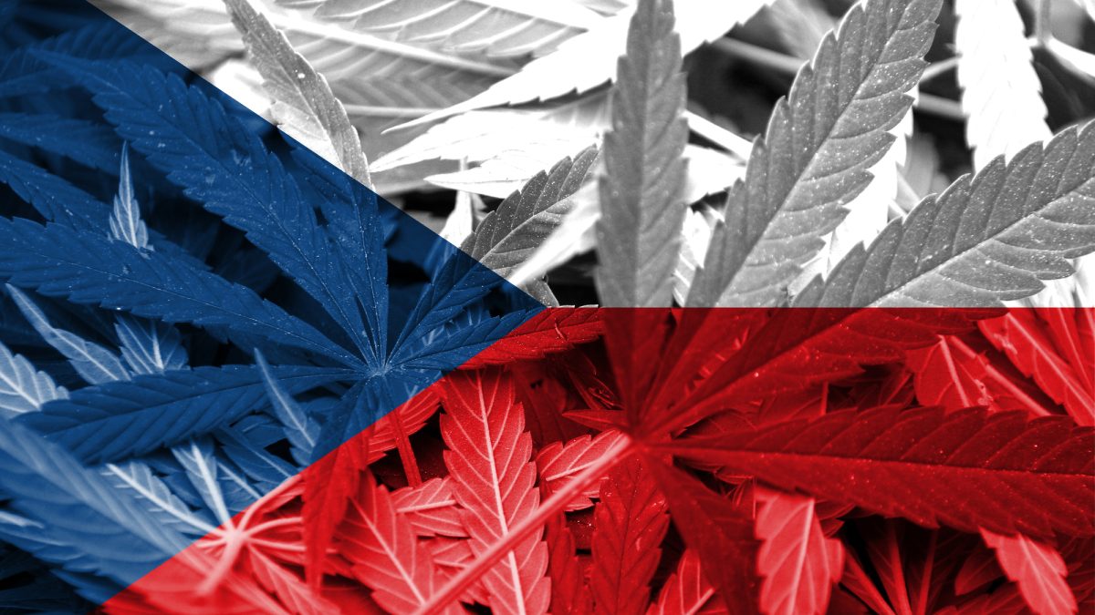 Czy Czechy zalegalizują marihuanę rekreacyjną?