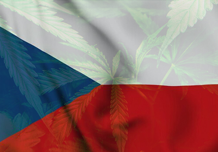 czeski rząd marihuana