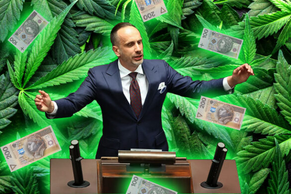 zyski z medycznej marihuany w polsce