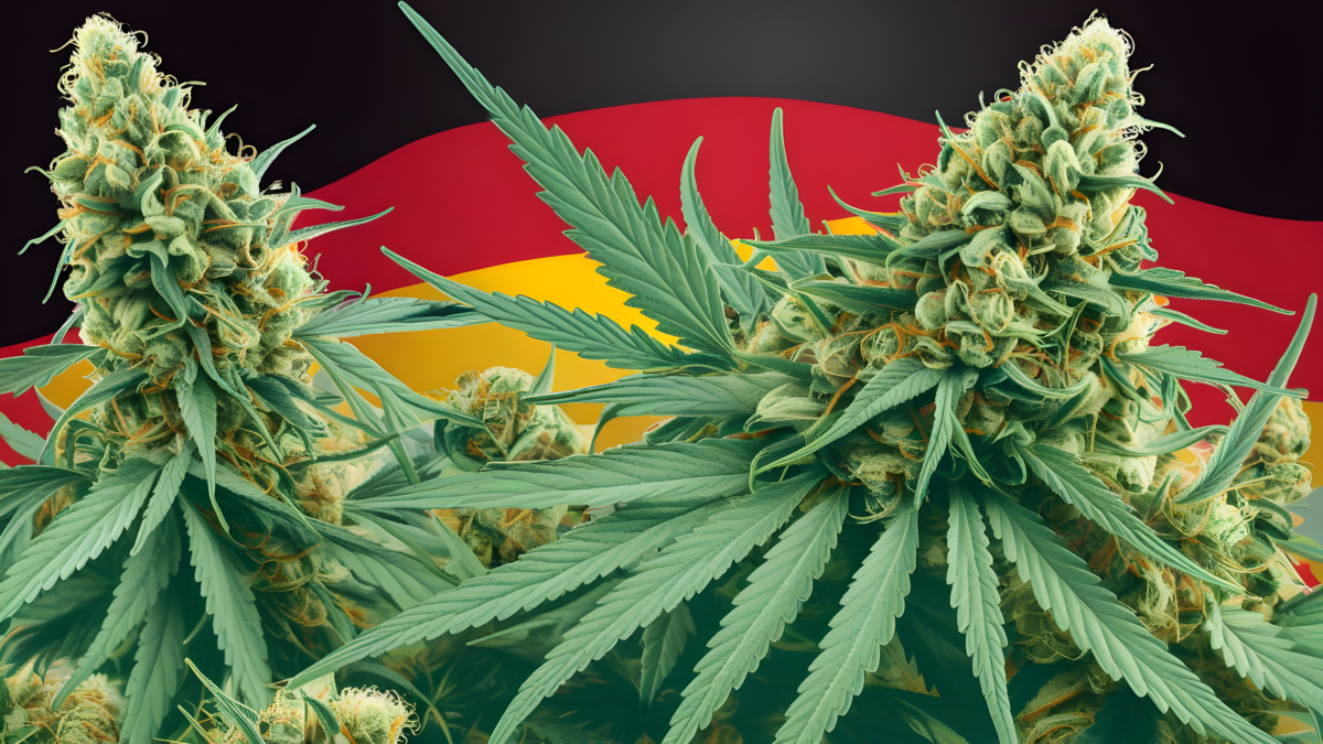 Nowe kierunki legalizacji marihuany w Niemczech po intensywnych negocjacjach parlamentarzystów