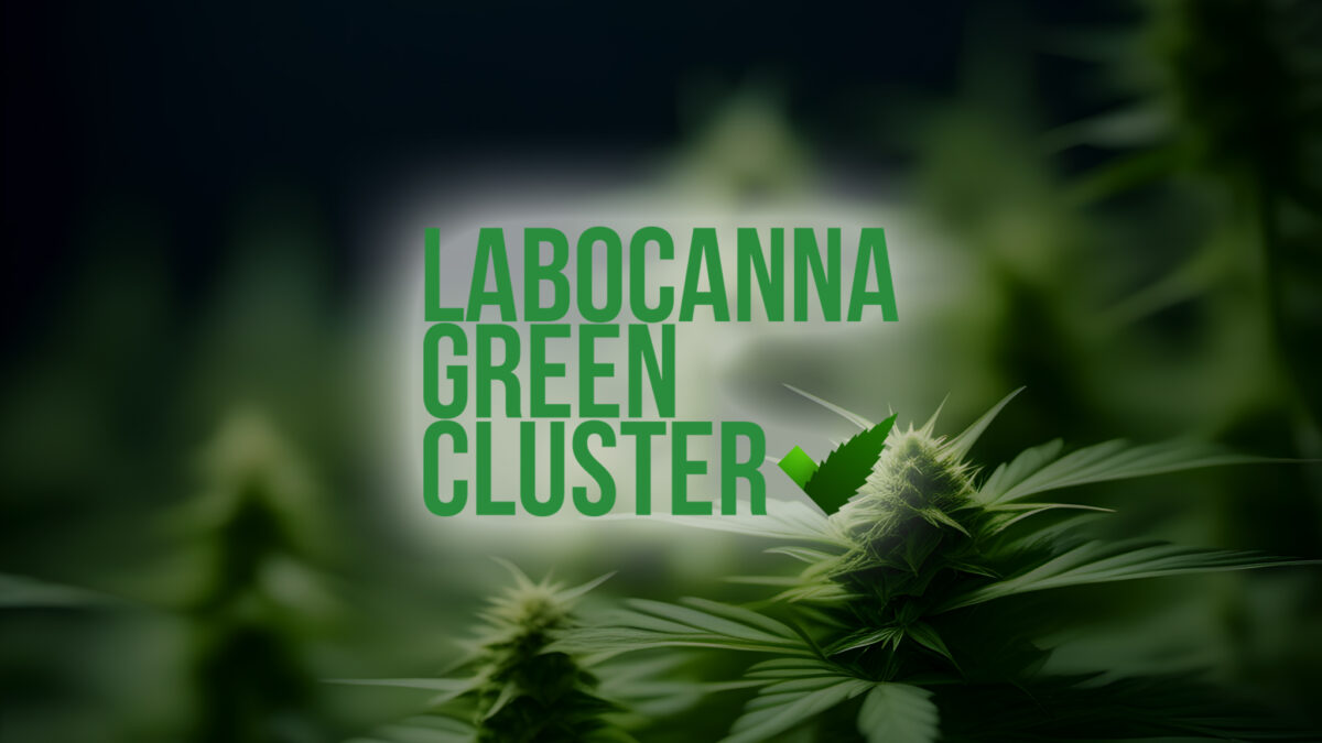 Labocanna ogłasza zawarcie kluczowej umowy dotyczącej importu medycznej marihuany