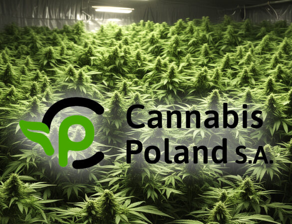 cannabis poland import
