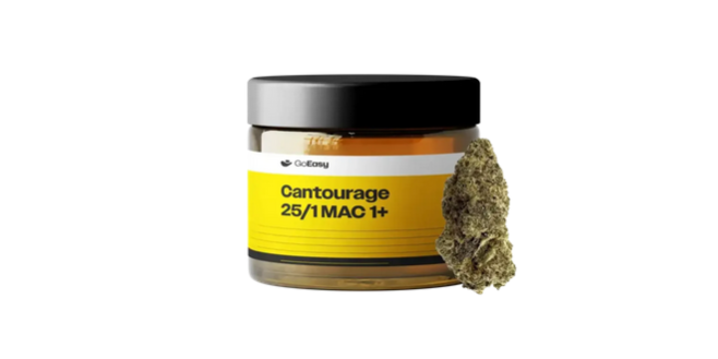 MAC 1 cantourage już w grudniu